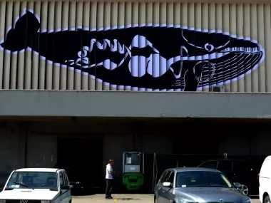 Balene ad Ancona, Andreco