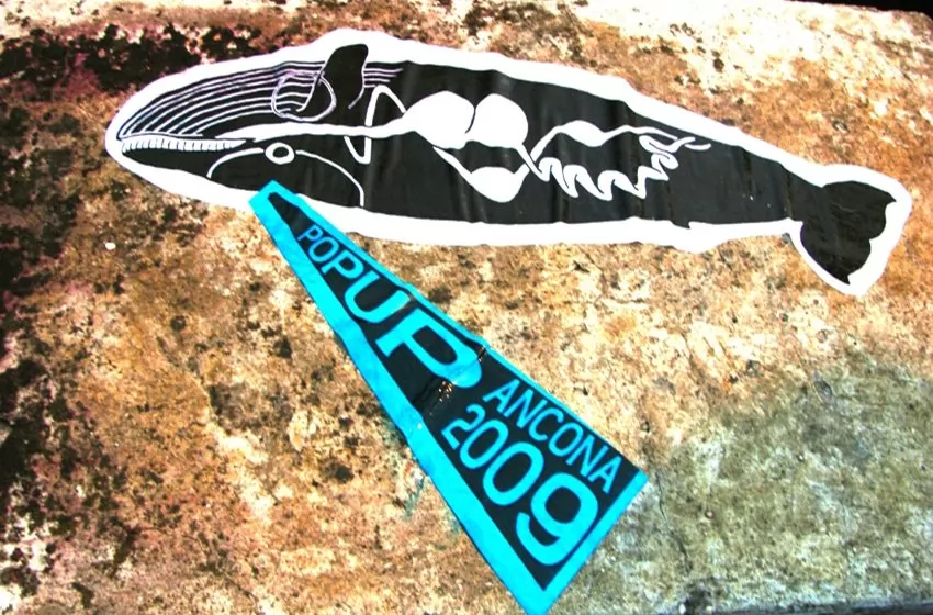 Balene ad Ancona. Fuga dal Museo, Andreco